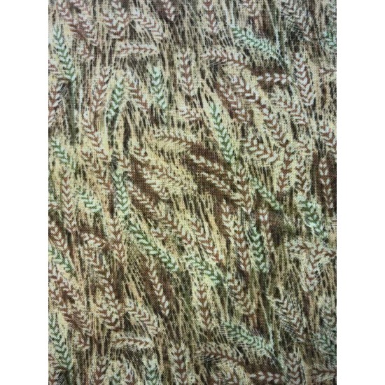 Brown/Green Cornfields 