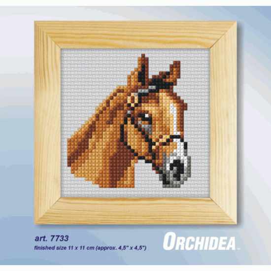 Counted Cross Stitch Kit with Frame. Horse