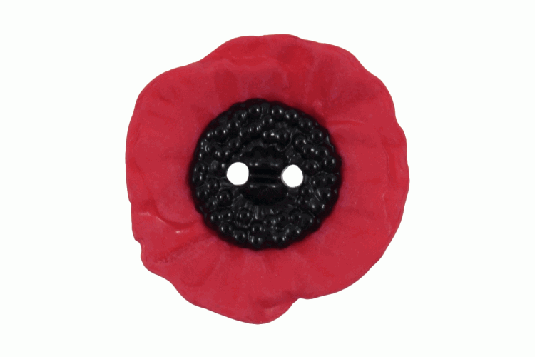 Poppy Button: 2 Hole: 20mm