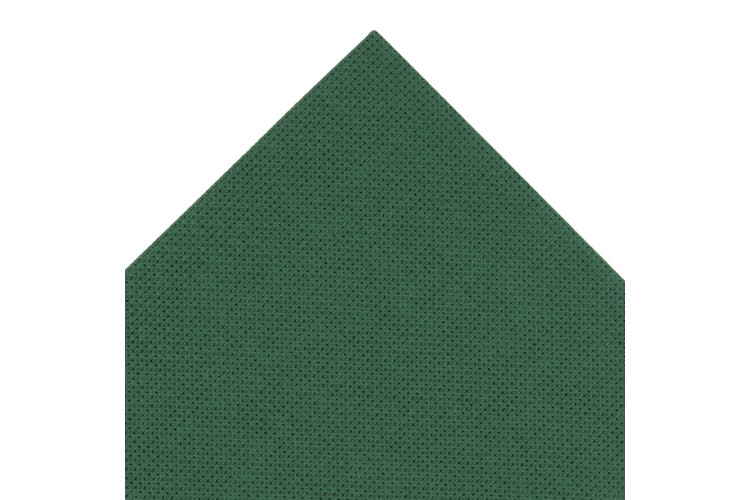 Embroidery Aida 14 Count, Green 45 x 30cm
