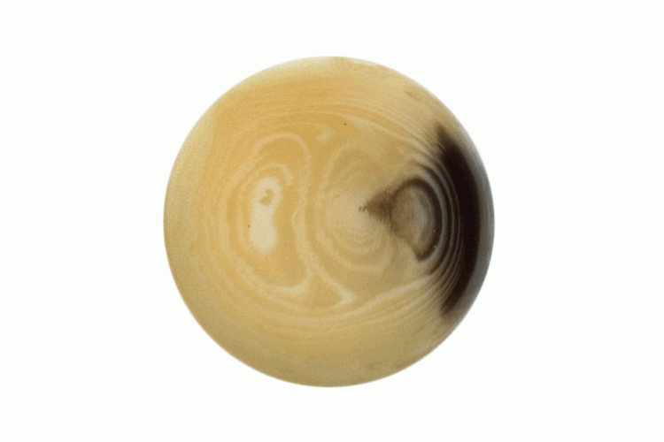 Natural Mock Horn, 19mm Shank Button