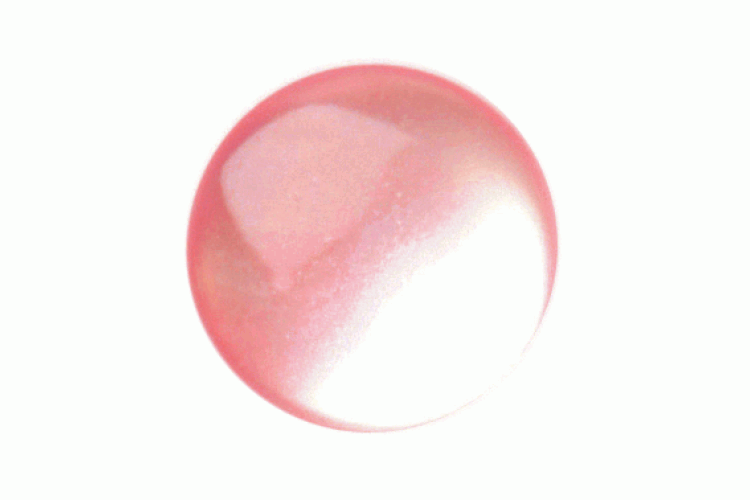 Pink Resin 10mm, Shank Button