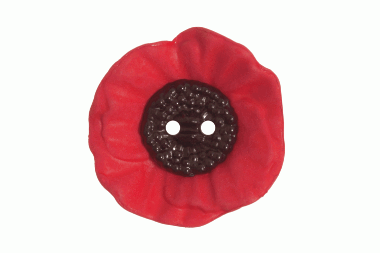 Poppy Button: 2 Hole: 28mm