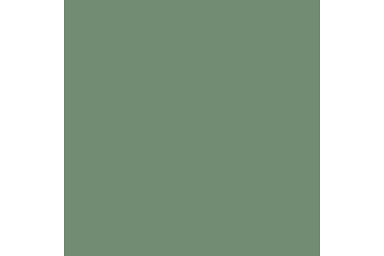 Spectrum Eucalyptus 112cm Wide 100% Cotton